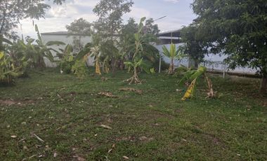 Land for sale in San Sai Luang, Chiang Mai