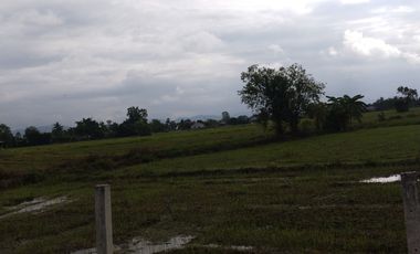 Land for sale in San Sai Luang, Chiang Mai