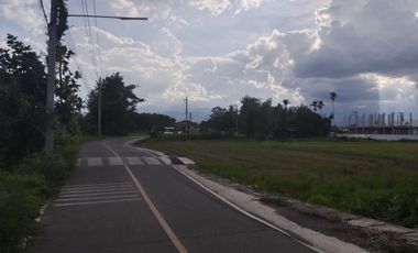 Land for sale in San Sai Luang, Chiang Mai