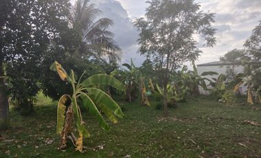 Land for sale in San Sai Luang, Chiang Mai