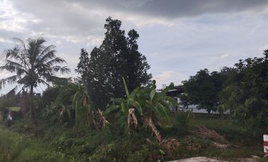 Land for sale in San Sai Luang, Chiang Mai