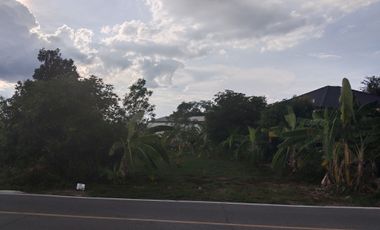 Land for sale in San Sai Luang, Chiang Mai
