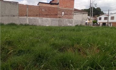 LOTE EN VENTA PALMIRA EN SECTOR RESIDENCIAL DEL BARRIO BOSQUE MZ C1