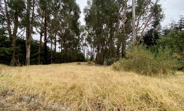 Quinta Paraíso para remodelar en Prolongación San Mateo Tlatenango