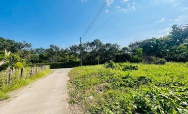 Land for sale in San Sai Luang, Chiang Mai