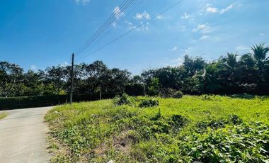 Land for sale in San Sai Luang, Chiang Mai