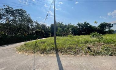 Land for sale in San Sai Luang, Chiang Mai