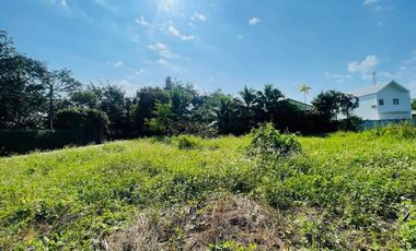 Land for sale in San Sai Luang, Chiang Mai