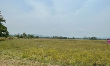 Land for sale in Sai Mun, Chiang Mai