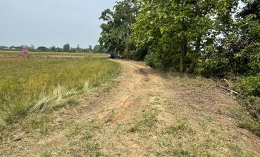 Land for sale in Sai Mun, Chiang Mai