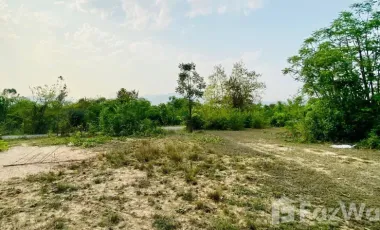 Land for sale in , Chiang Mai