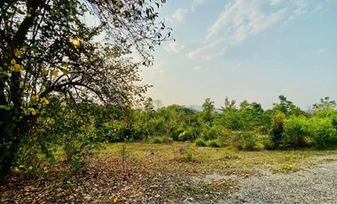 Land for sale in , Chiang Mai