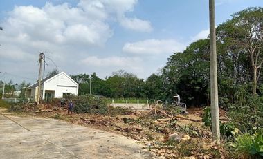 Land for sale in San Klang, Chiang Mai