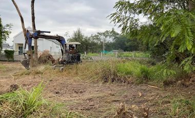 Land for sale in San Klang, Chiang Mai