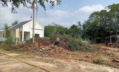 Land for sale in San Klang, Chiang Mai