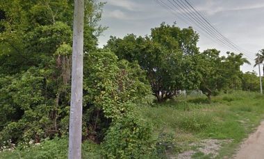 Land for sale in Nong Faek, Chiang Mai