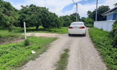 Land for sale in Nong Faek, Chiang Mai