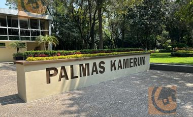 Bonito departamento en renta  Monte Kamerum, Lomas de Chapultepec