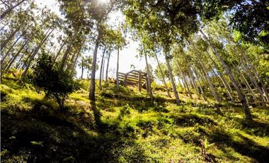 CASA DE CAMPO EN ALTOS DEL MARIA 2378MT cv