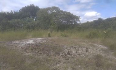 TERRENO / SAN CARLOS / EL NANCE / 7000M2 / ACCESO AL RIO