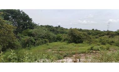 TERRENO / SAN CARLOS / EL NANCE / 7000M2 / ACCESO AL RIO