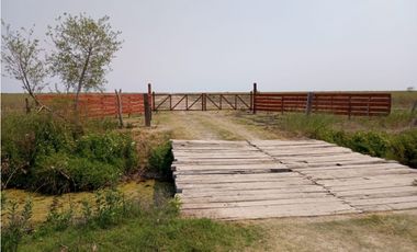 ALQUILER CAMPO SANTIAGO DEL ESTERO 800 Y 1100 HECTAREAS GANADERO