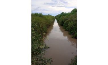 ALQUILER CAMPO SANTIAGO DEL ESTERO 800 Y 1100 HECTAREAS GANADERO
