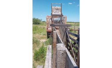 ALQUILER CAMPO SANTIAGO DEL ESTERO 800 Y 1100 HECTAREAS GANADERO