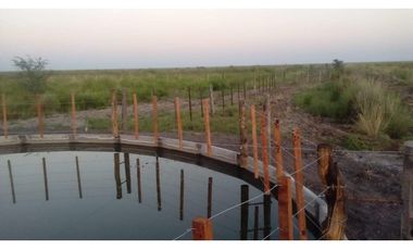 ALQUILER CAMPO SANTIAGO DEL ESTERO 800 Y 1100 HECTAREAS GANADERO