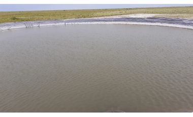 ALQUILER CAMPO SANTIAGO DEL ESTERO 800 Y 1100 HECTAREAS GANADERO