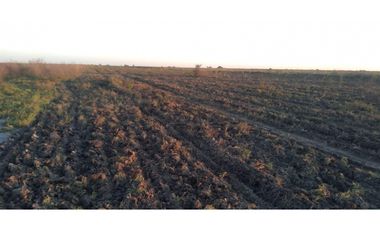 ALQUILER CAMPO SANTIAGO DEL ESTERO 800 Y 1100 HECTAREAS GANADERO