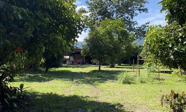 Land for sale in Huai Sak, Chiang Rai