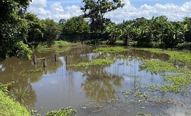 Land for sale in Huai Sak, Chiang Rai