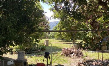 Land for sale in Huai Sak, Chiang Rai