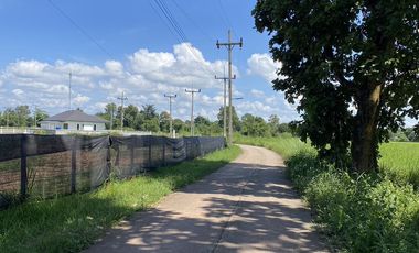 Land for sale in Huai Sak, Chiang Rai