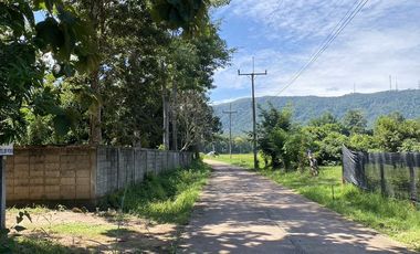 Land for sale in Huai Sak, Chiang Rai