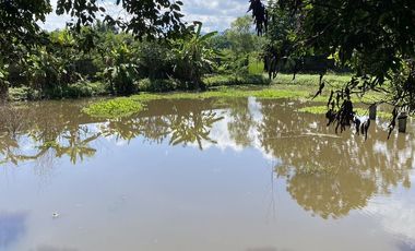 Land for sale in Huai Sak, Chiang Rai