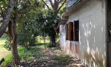 Land for sale in Huai Sak, Chiang Rai