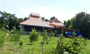 6 Bedroom Villa for sale in Nong Tum, Khon Kaen