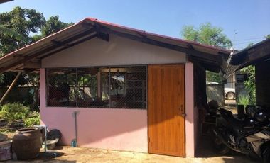 3 Bedroom House for sale in Than Thong, Chiang Rai