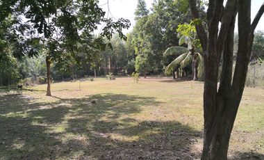 3 Bedroom House for sale in Nong Pla Pak, Nong Khai