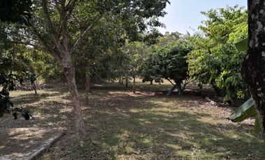 3 Bedroom House for sale in Nong Pla Pak, Nong Khai