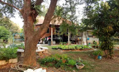 2 Bedroom House for sale in Pa Sak, Chiang Rai