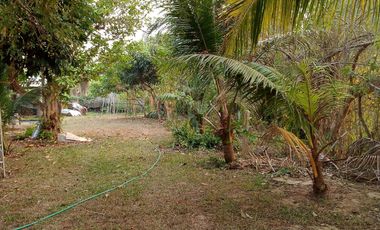 2 Bedroom House for sale in Pa Sak, Chiang Rai
