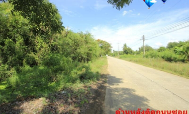 Land for sale in Thap Luang, Nakhon Pathom