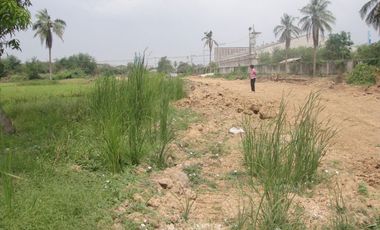 Land for sale in Thap Luang, Nakhon Pathom