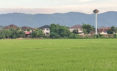 Land for sale in Tha Sai, Chiang Rai