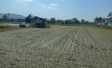 Land for sale in Tha Sai, Chiang Rai