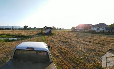 Land for sale in Tha Sai, Chiang Rai