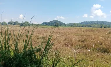 Land for sale in Huai Sak, Chiang Rai